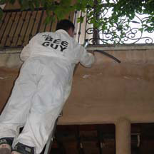 Bee proofing a large gap under a deck.